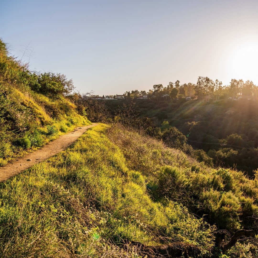 A lush trail at Oak Canyon Nature Center in Anaheim, California.
